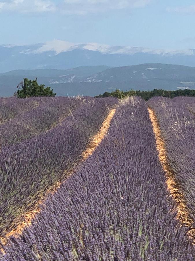 Provence Luberon Bonnieux Location Gite Chez Marcelle Buitenkant foto